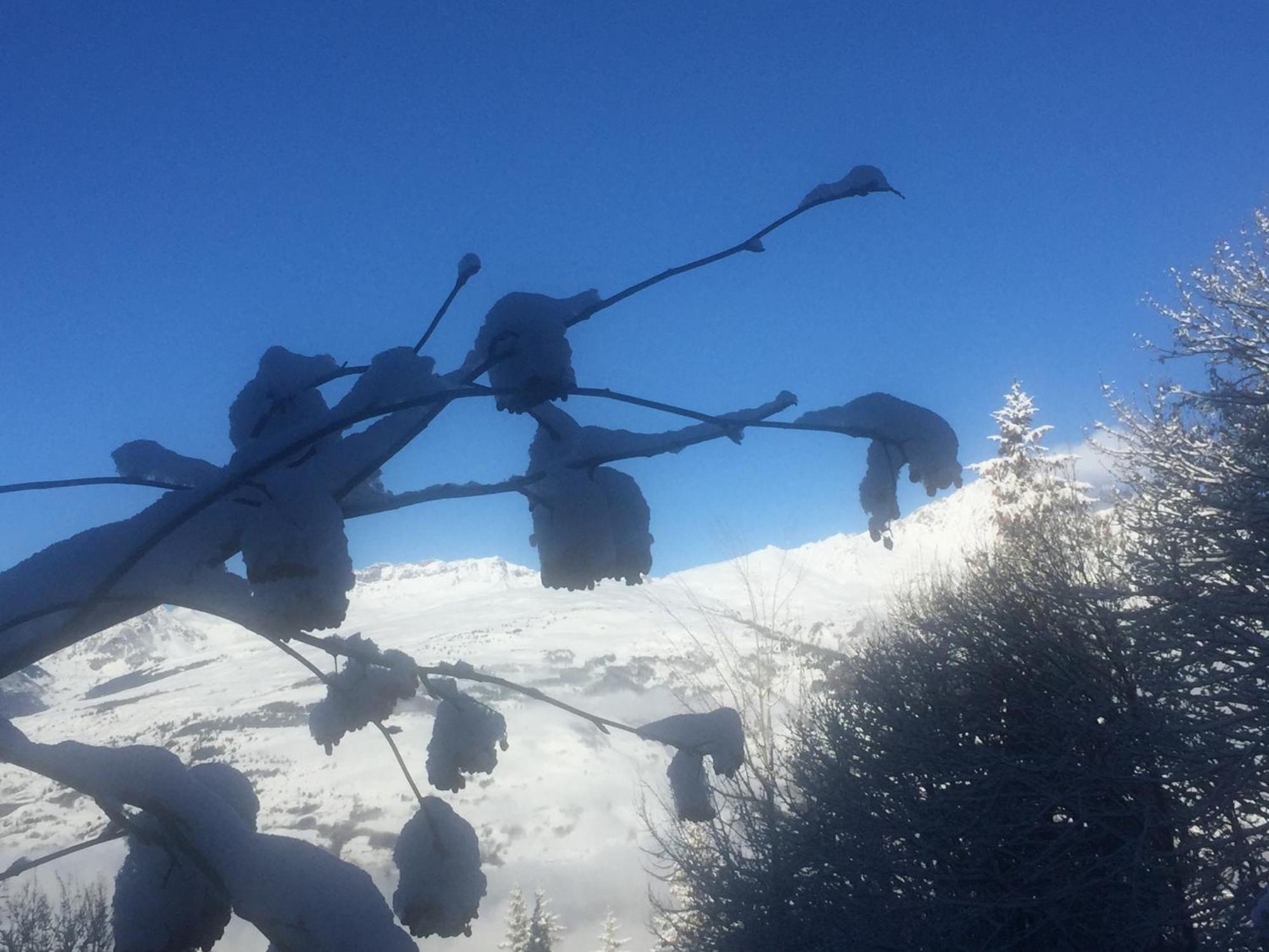 Les Arcs 1800 Leilighet Bourg-Saint-Maurice Eksteriør bilde